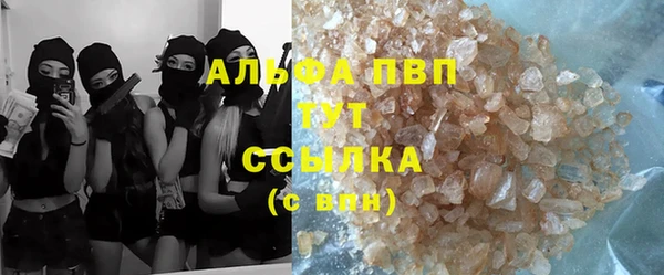 спиды Аркадак